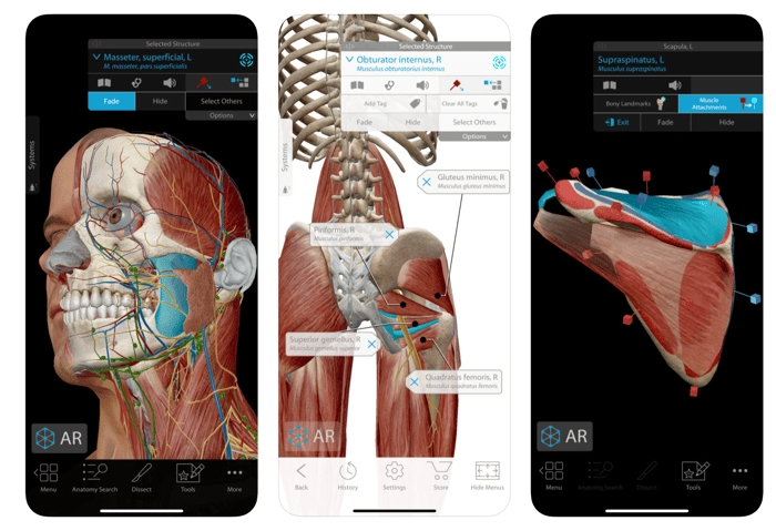 Human Anatomy Atlas app