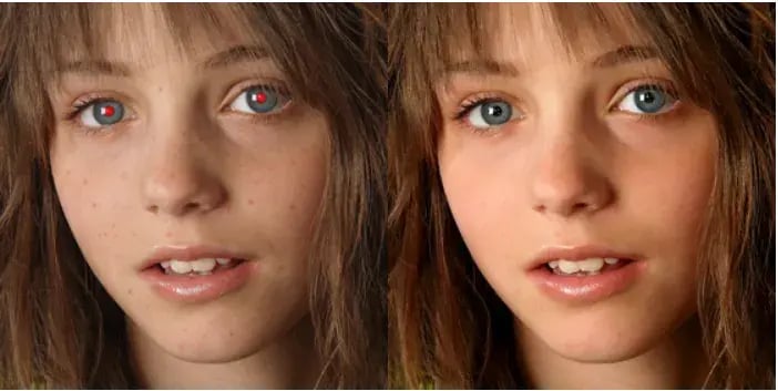 face tracking software luxand.jpg