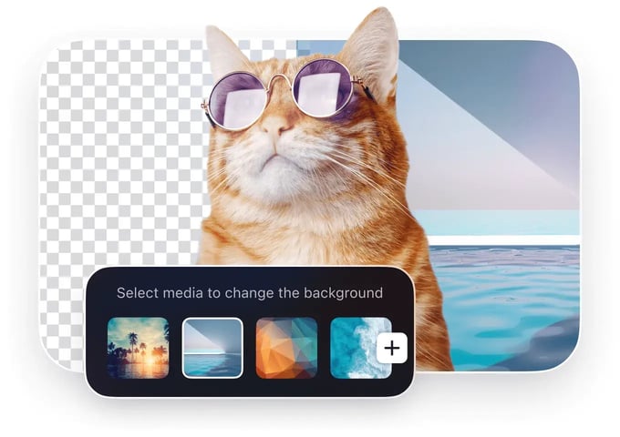 banuba background replacement