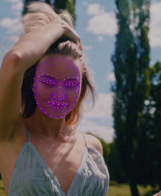 face tracking