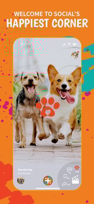 banuba video editor sdk for fureelz