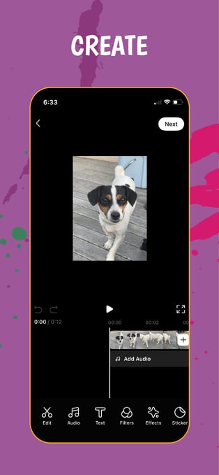 banuba video editor sdk for fureelz