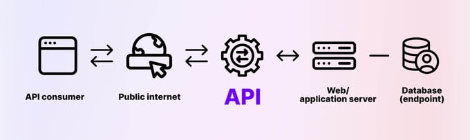 sdk vs api api structure