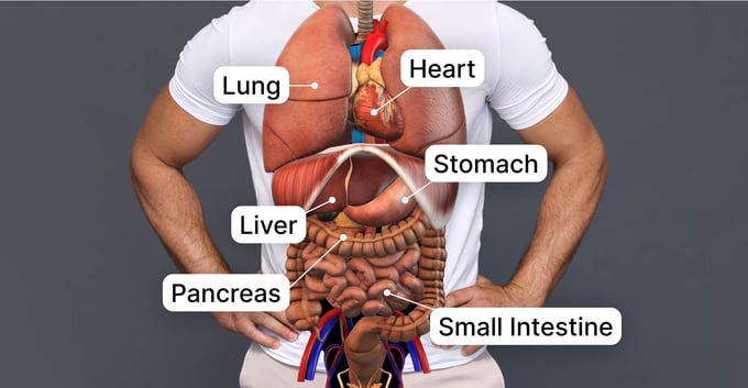superimpositoin-based ar