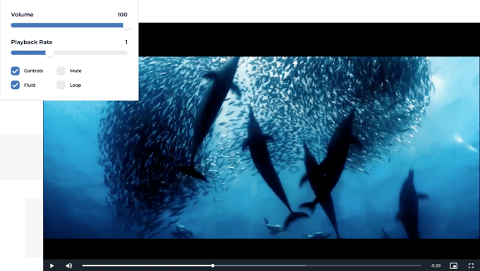 video.js screenshot