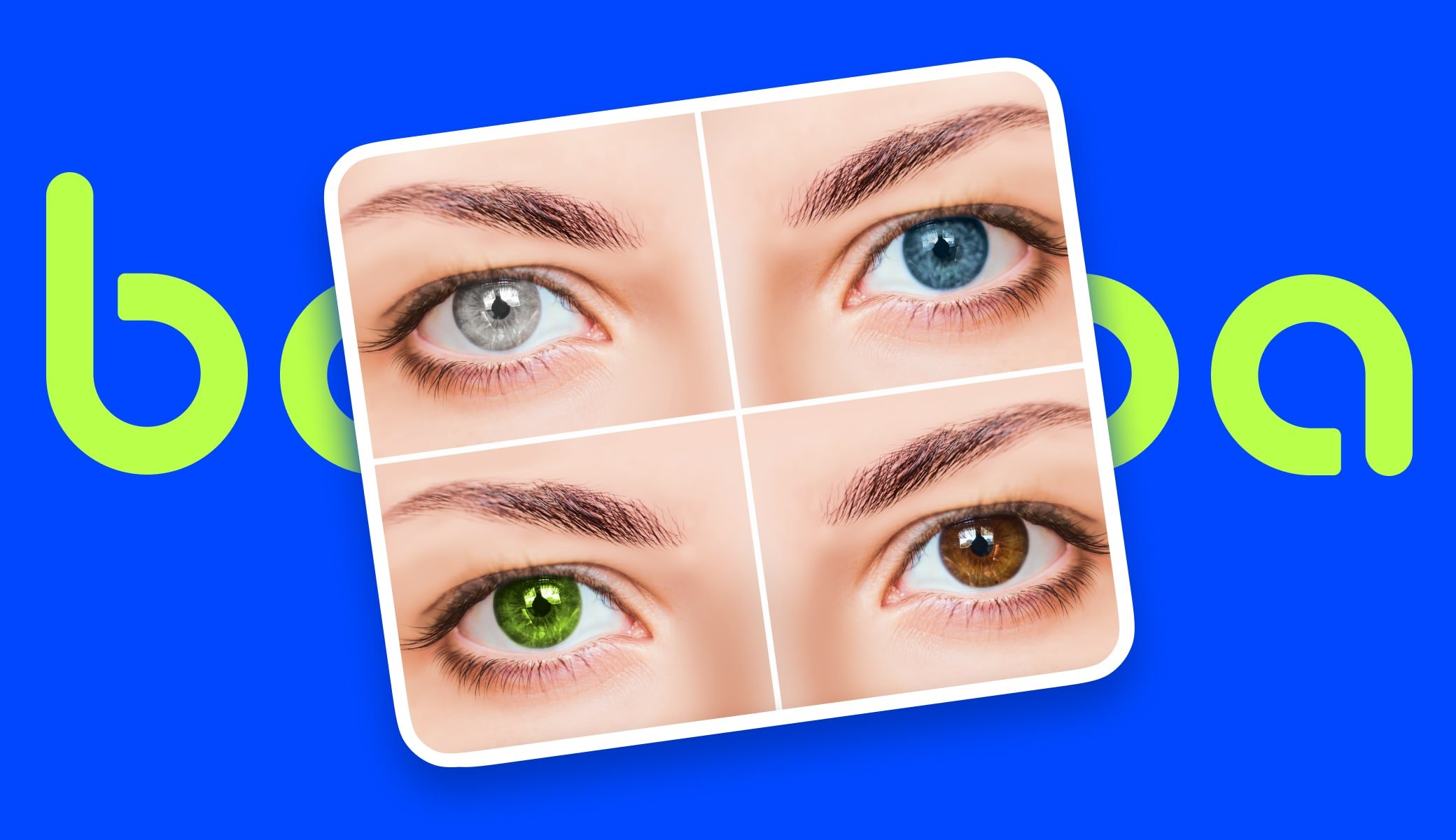 Eye Segmentation